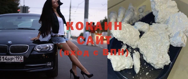 стафф Елизово