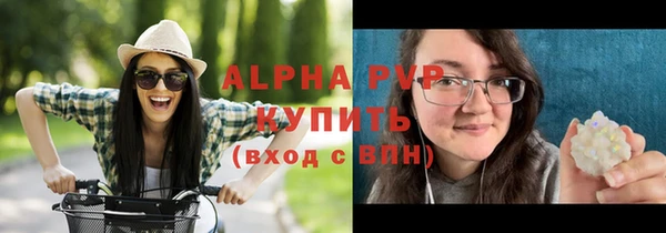 стафф Елизово