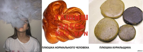 стафф Елизово