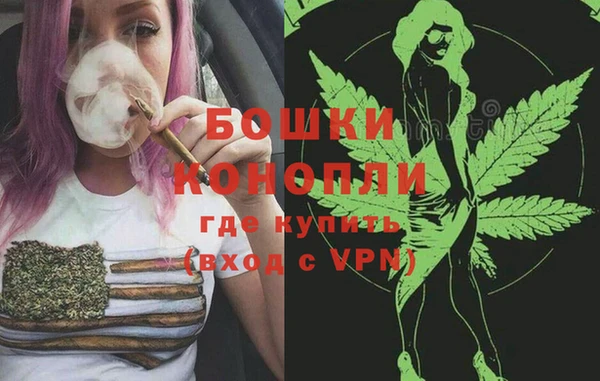 стафф Елизово