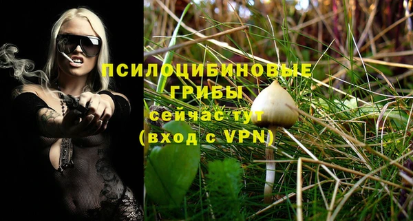 стафф Елизово