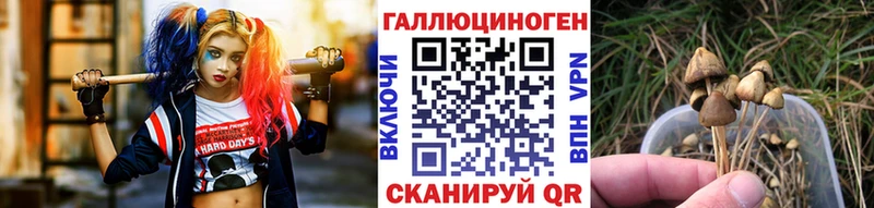 Купить закладки  Суворов  Псилоцибиновые грибы Psilocybine cubensis 